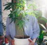 Cannabis auf dem Balkon anbauen - 5 Tipps